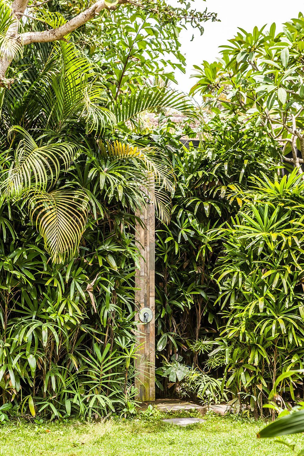 A Tropical Garden: An Oasis In the midst of the Island of the Gods - Bali  Interiors